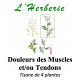 DOULEURS MUSCULAIRES ET OU TENDONS TISANE 100g