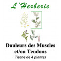 DOULEURS MUSCULAIRES ET OU TENDONS TISANE 100g