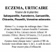 ECZEMA, URTICAIRE Tisane de 6 plantes 100g