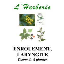 ENROUEMENT, LARYNGITE Tisane de 5 plantes 100g