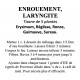 ENROUEMENT, LARYNGITE Tisane de 5 plantes 100g