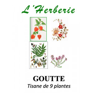 https://www.lherberie.com/5883-thickbox/goutte-tisane-de-9-plantes-100g.jpg