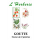 GOUTTE TISANE DE 9 PLANTES 100g