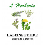 HALEINE FETIDE TISANE DE 4 PLANTES 100g