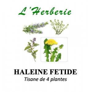 https://www.lherberie.com/5885-thickbox/haleine-fetide-tisane-de-4-plantes-100g.jpg