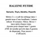 HALEINE FETIDE TISANE DE 4 PLANTES 100g