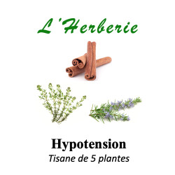 HYPOTENSION MELANGE DE 5 PLANTES 100g