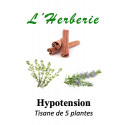 HYPOTENSION MELANGE DE 5 PLANTES 100g