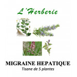 MIGRAINE HEPATIQUE ET DIGESTIVE Tisane de 5 plantes 100 gr