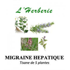 https://www.lherberie.com/5924-thickbox/migraine-hepatique-et-digestive-tisane-de-5-plantes-100-gr.jpg