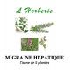 MIGRAINE HEPATIQUE ET DIGESTIVE Tisane de 5 plantes 100 gr