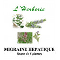 MIGRAINE HEPATIQUE ET DIGESTIVE Tisane de 5 plantes 100 gr