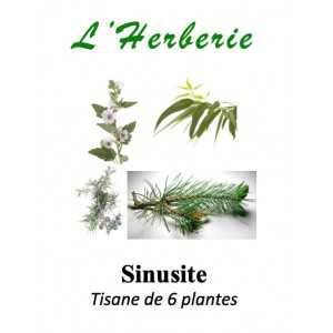 https://www.lherberie.com/5926-thickbox/sinusite-tisane-de-6-plantes-100-gr.jpg