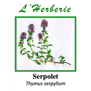 https://www.lherberie.com/5935-thickbox/serpolet-100gr.jpg