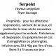 SERPOLET 100GR