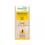 PROPOLIS LARGE SPECTRE SPRAY BIO 15 ML