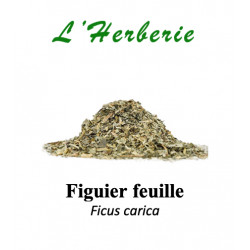 Figuier Feuille 100gr