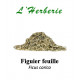 Figuier Feuille 100gr