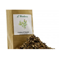 Lichen d’Islande Thalle 100 gr