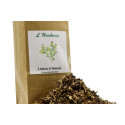 Lichen d’Islande Thalle 100 gr