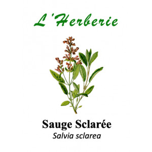 https://www.lherberie.com/6009-thickbox/sauge-sclaree-100gr.jpg