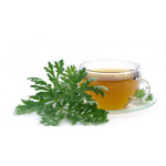 Tisane Artemisia annua artemisinine armoise