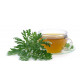 Tisane Artemisia annua artemisinine armoise