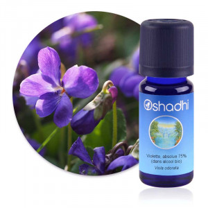 https://www.lherberie.com/6217-thickbox/absolue-violette-absolue-75-dans-alcool-bio-viola-odorata.jpg