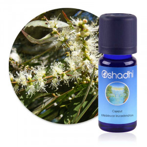 https://www.lherberie.com/6220-thickbox/huile-essentielle-cajeput-melaleuca-leucadendron.jpg