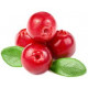 BAIES DE CRANBERRY cranberrie 400 gr