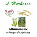 Albuminurie Tisane 100 gr