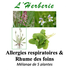 https://www.lherberie.com/6263-thickbox/allergies-respiratoires-rhume-des-foins-melange-de-5-plantes.jpg