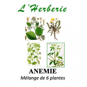 https://www.lherberie.com/6265-thickbox/anemie-melange-de-6-plantes-100-gr.jpg