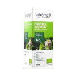 CARDERE SAUVAGE 50 ml BIO Teinture-mère – Ladrôme