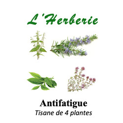 ANTIFATIGUE Mélange de 4 plantes Tisanes 100 gr