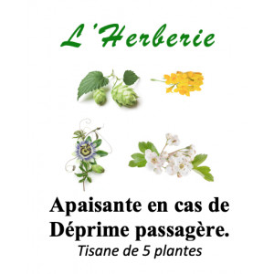 https://www.lherberie.com/6340-thickbox/apaisante-en-cas-de-deprime-passagere-melange-de-5-plantes-tisanes-100-gr.jpg