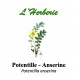 POTENTILLE ANSERINE 100GR