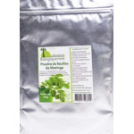 MORINGA POUDRE 100 GR 