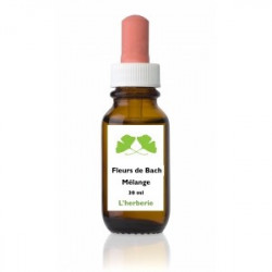 Fleur de Bach n° 282 COUDE