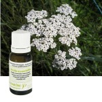 Achillée millefeuille (herbe fl.) HUILE ESSENTIELLE PRANAROM 5 ML
