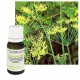 HE ANETH-anethum-graveolens-10-ml-pranarom