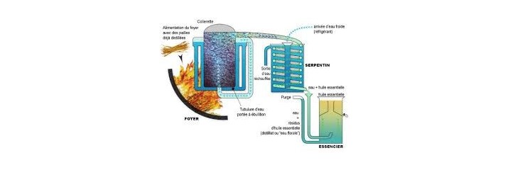 Eaux Florales, Hydrolats