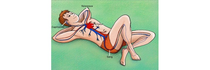 Cardio vasculaire		