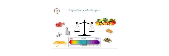 Equilibre Acido - Basique		