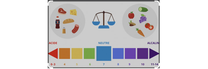 ACIDITE équilibre Acido-Basique