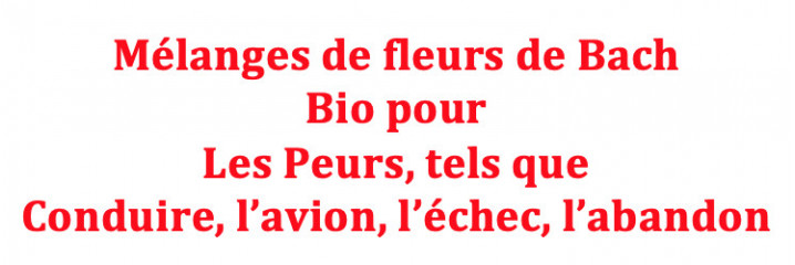 Peurs tels que conduire, de l'avion, échec, abandon etc 