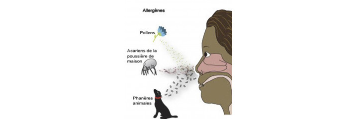 ALLERGIES RESPIRATOIRES & RHUME DES FOINS